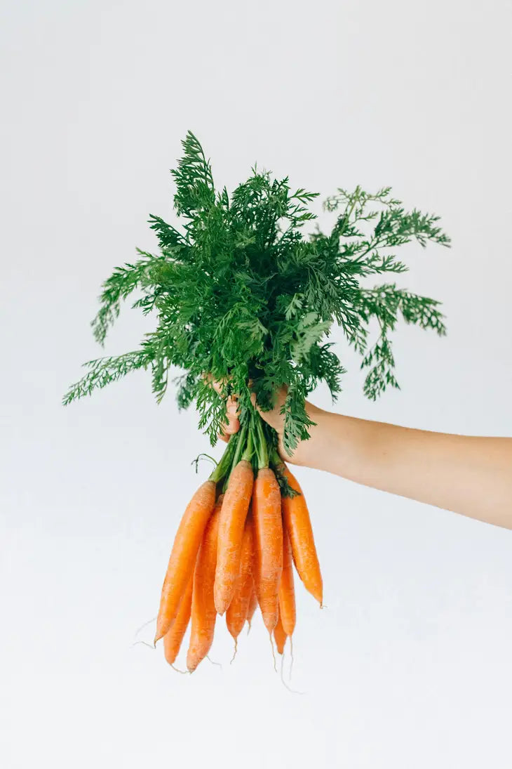 Bunch of carrots held by a hand against a light background