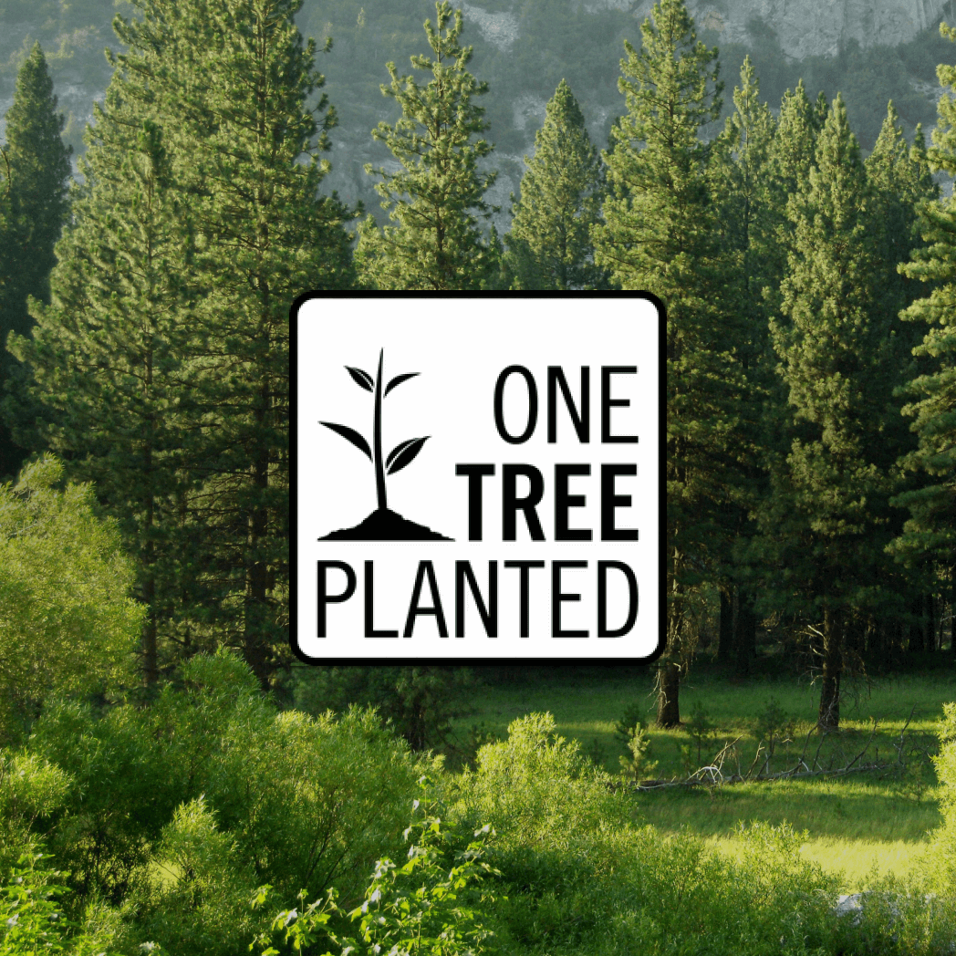 One Tree Planted logo with a forest background