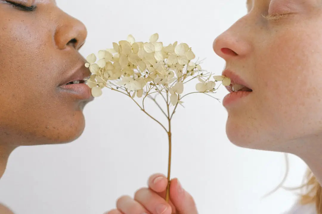 Two women holding a white flower close to their faces against a light background