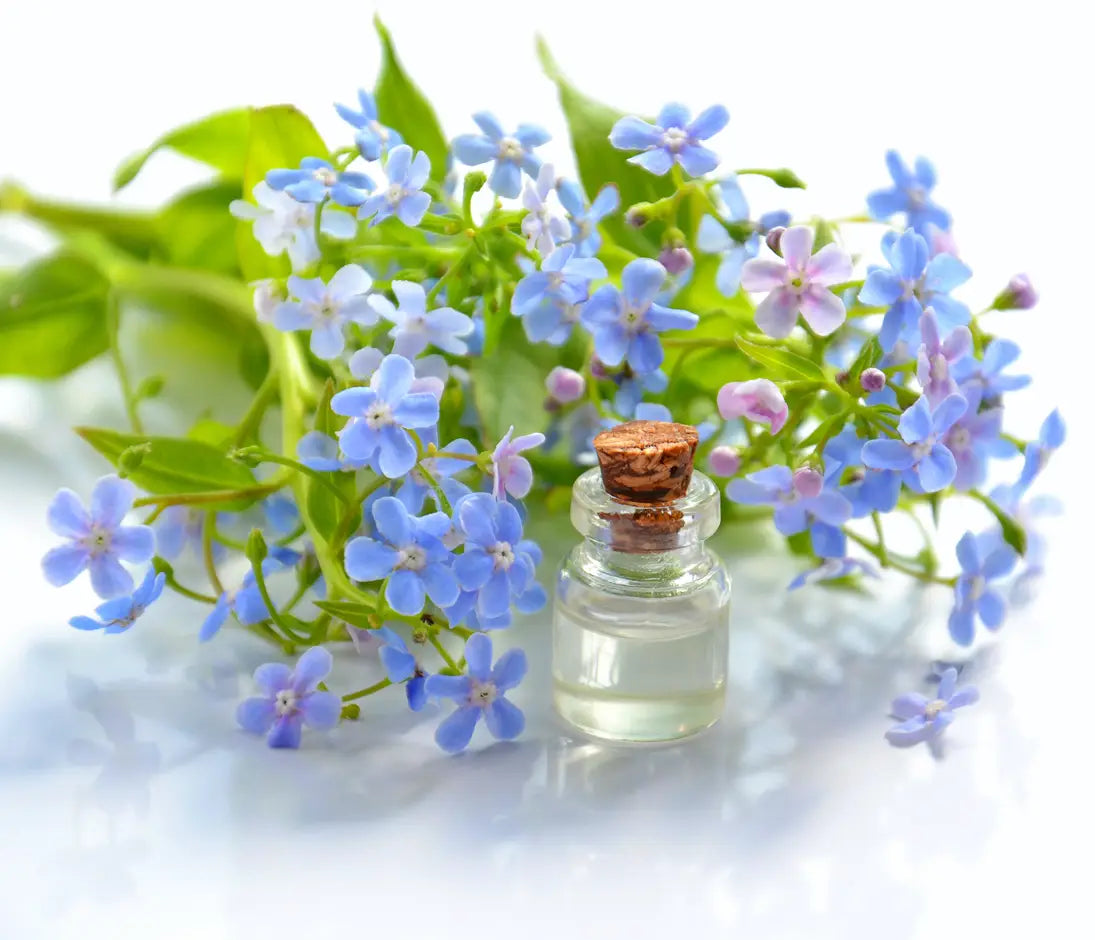 Small glass bottle with cork lid surrounded by blue flowers on a white background